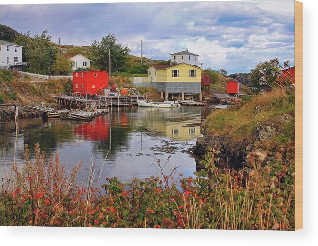 Salvage Wood Print featuring the photograph Salvage Village Newfoundland 3 by Tatiana Travelways
