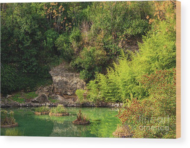 San Antonio Wood Print featuring the photograph San Antonio Japanese Garden Landscape and Pond Two by Bob Phillips