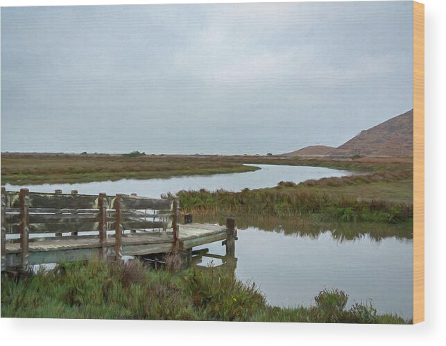 Don Edwards Wood Print featuring the photograph San Francisco Wildlife Refuge 2 by Lindsay Thomson