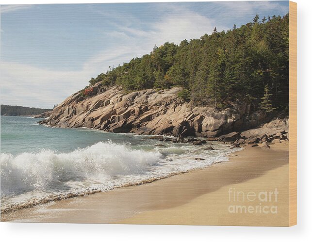 Sand Beach Wood Print featuring the photograph Sand Beach by Grace Grogan