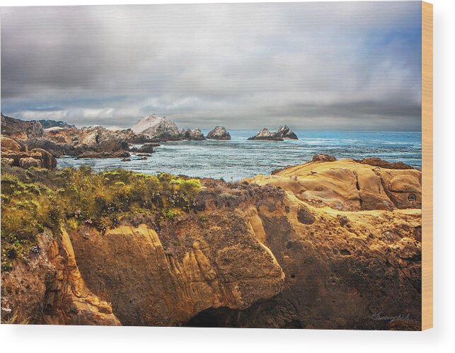 Color Wood Print featuring the photograph Sand Hill Cove 4 by Alan Hausenflock