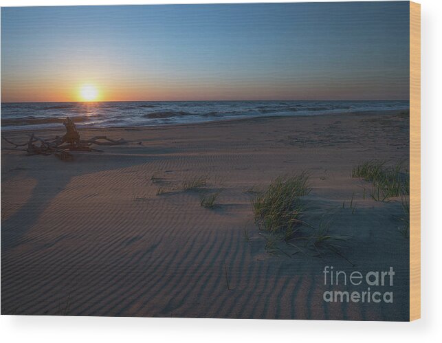 Sunrise Wood Print featuring the photograph Sandbridge Beach Sunrise by Michael Ver Sprill