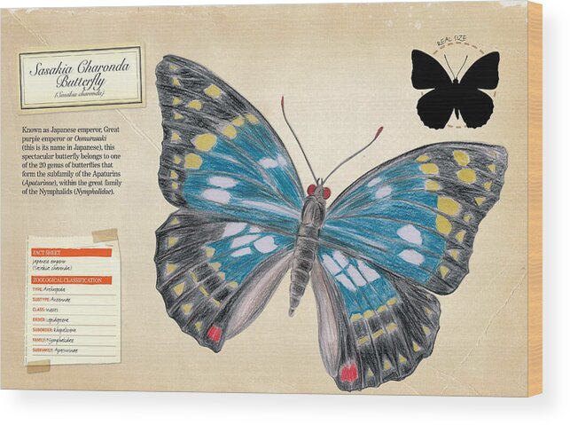 Childhood Wood Print featuring the digital art Sasakia Charonda Butterfly by Album