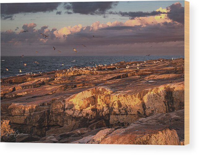 Morning Wood Print featuring the photograph Schoodic Point Dawn by William Christiansen
