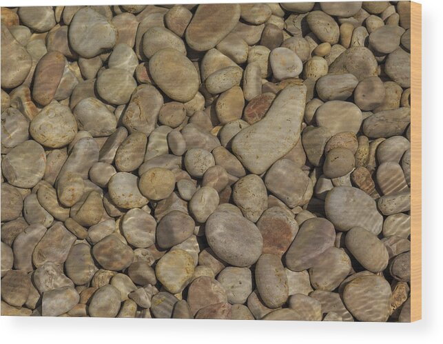 Door County Wood Print featuring the photograph Schoolhouse Beach Pebbles by Paul Schultz