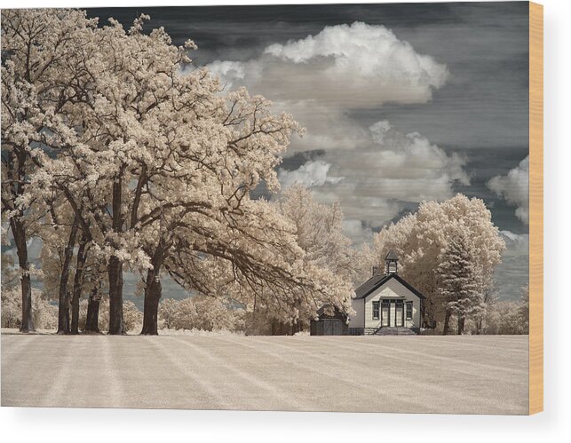 Cooksville Wood Print featuring the photograph School's Out Forever - One room schoolhouse in Cooksville Wisconsin by Peter Herman