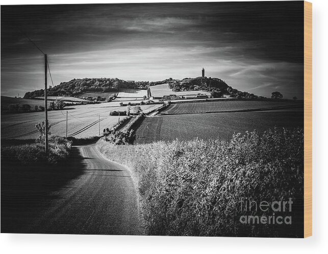 Ireland Wood Print featuring the photograph Scrabo Tower far away by Jim Orr