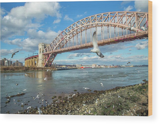 Astoria Wood Print featuring the photograph Seagull Frenzy by Cate Franklyn