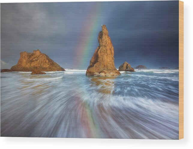 Oregon Wood Print featuring the photograph Seagull Storm Watch by Darren White