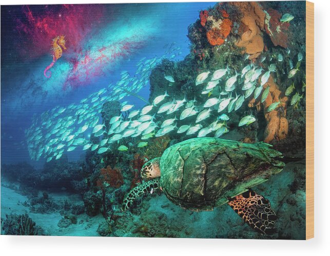 Clouds Wood Print featuring the photograph Seahorse and Turtle by Debra and Dave Vanderlaan