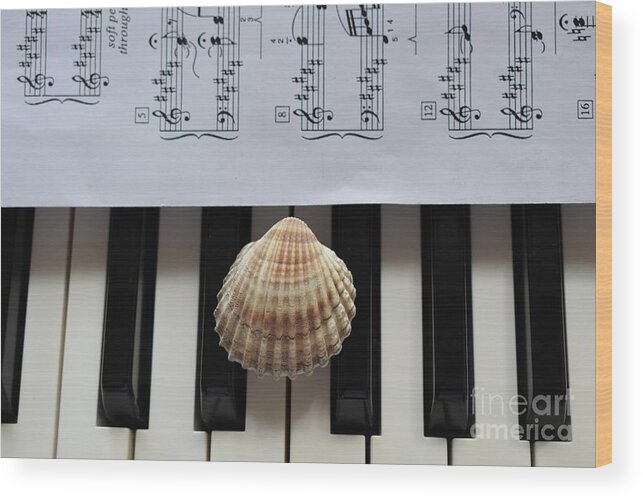 Music Wood Print featuring the photograph Seashell Dream On The Piano 2 by Leonida Arte