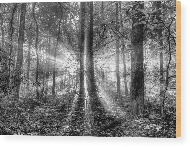 Black Wood Print featuring the photograph Second Coming Black and White by Debra and Dave Vanderlaan