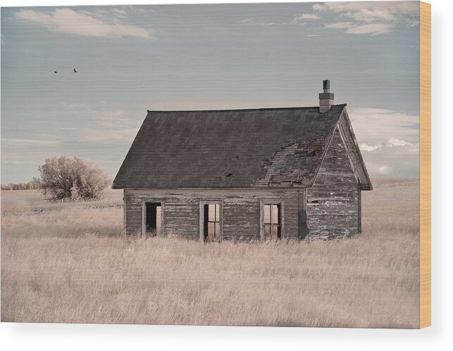 Lake Ibsen Wood Print featuring the photograph See Through Schoolhouse - Lake Ibsen schoolhouse, Benson County, ND near Brinsmade by Peter Herman