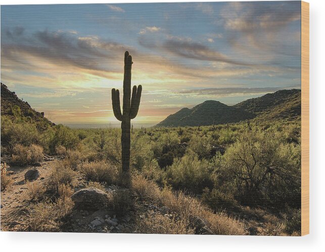 Desert Wood Print featuring the photograph Sentinel Sunrise by Jim Painter