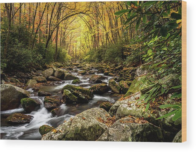Big Creek Wood Print featuring the photograph Serenity by Darrell DeRosia