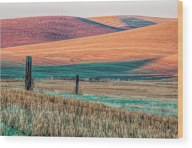 Fall Wood Print featuring the photograph Shades of Harvest by Pamela Dunn-Parrish
