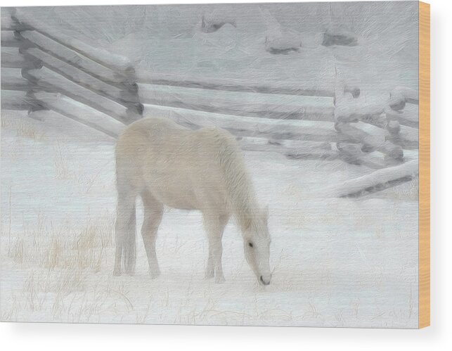 Horse Wood Print featuring the photograph Shades of Pale by Ed Hall