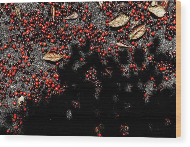 Shadow Berries Wood Print featuring the photograph Shadow Berries by Sharon Popek