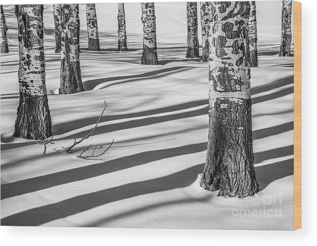 Shadow Wood Print featuring the photograph Shadowland 2 by Melissa Lipton