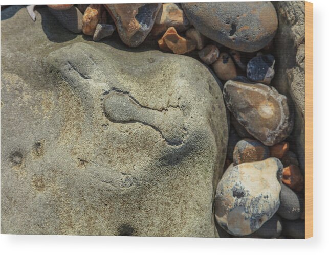 United Kingdom Wood Print featuring the photograph Shape in pebbles by Richard Donovan