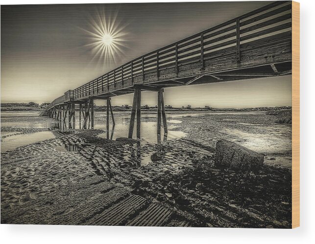 Footbridge Beach Wood Print featuring the photograph Shining Star at Footbridge Beach by Penny Polakoff