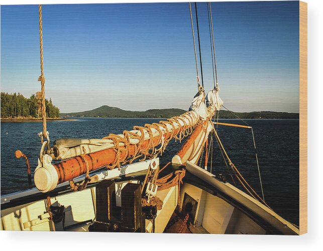 Sail Wood Print featuring the photograph Ship Shape Sail by Craig A Walker