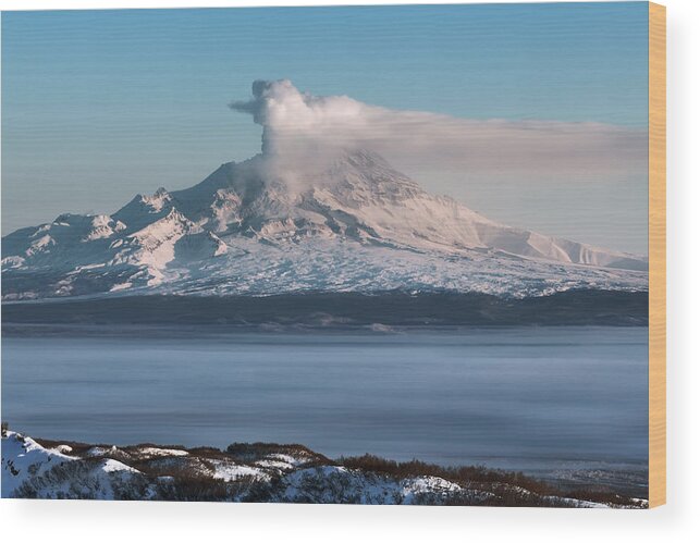 Scenics Wood Print featuring the photograph Shiveluch Volcano - eruption active volcano of Kamchatka Peninsula by Geyzer