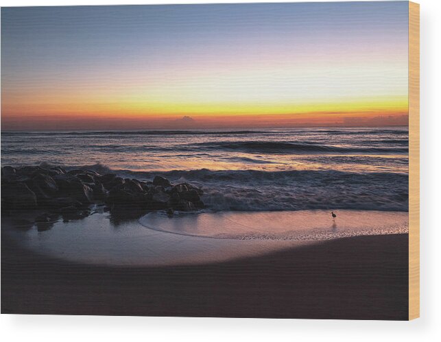 Birds Wood Print featuring the photograph Shorebird at Dawn by Debra and Dave Vanderlaan