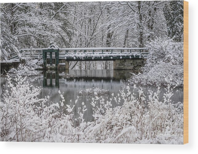 2020 Wood Print featuring the photograph Shorey Park - Bridgton, ME by Craig Shaknis