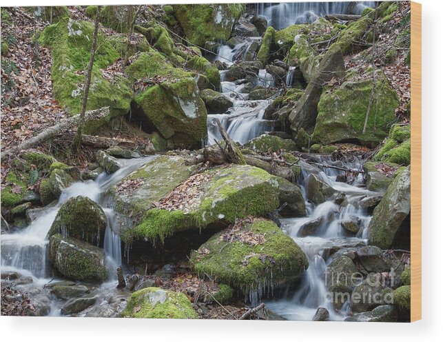 Frozen Head State Park Wood Print featuring the photograph Side Waterfall 2 by Phil Perkins