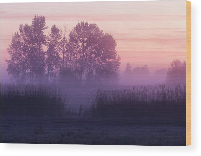 Silhouettes Wood Print featuring the photograph Silhouettes at Dawn at William Finley Wildlife Refuge by Belinda Greb