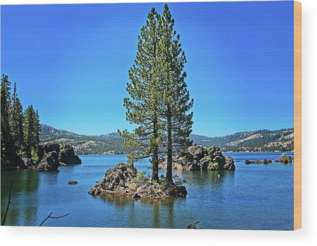 Lake Wood Print featuring the photograph Silver Lake Cove by David Desautel