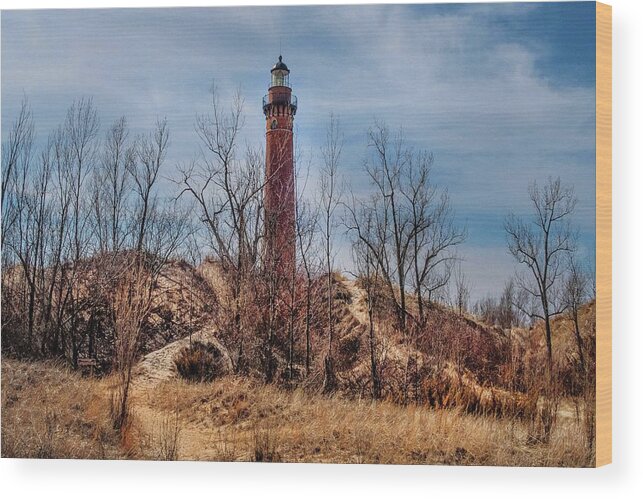Northernmichigan Wood Print featuring the photograph Silver Lake Lighthouse..... IMG_3937 HRes by Michael Thomas