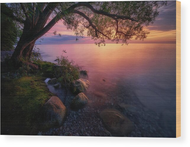 Lake Simcoe Wood Print featuring the photograph Simcoe Sunset by Henry w Liu
