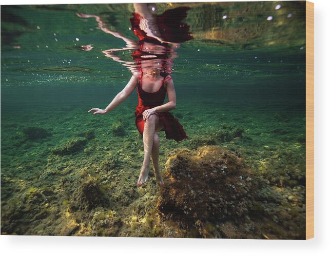 Underwater Wood Print featuring the photograph Sitting by Gemma Silvestre