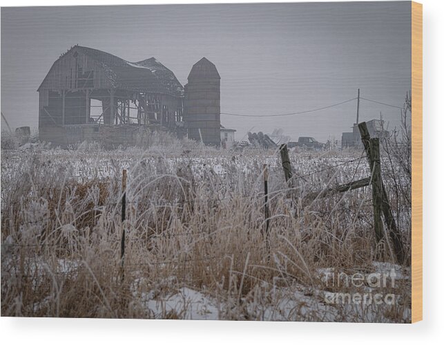 Skeletal Remains Wood Print featuring the photograph Skeletal Remains by Amfmgirl Photography