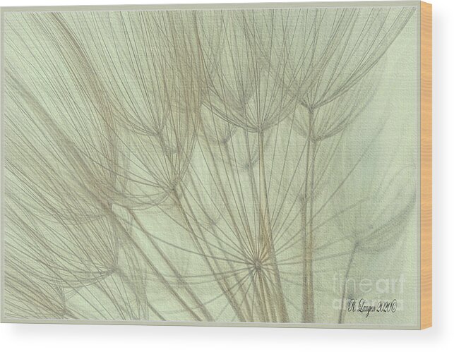 Sketches Wood Print featuring the digital art Sketches in Long Winter by Rebecca Langen