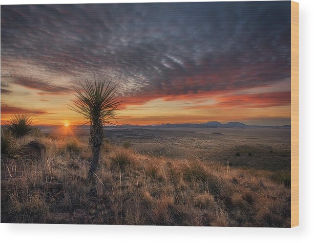 Davis Mountains; Skyline Drive; Skyline Trail; Civilian Conservation Corps Wood Print featuring the photograph Skyline Sunrise by Slow Fuse Photography