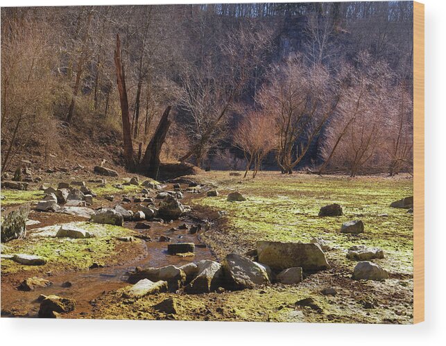 Sinkhole Wood Print featuring the photograph Slaughter Sink by Robert Charity