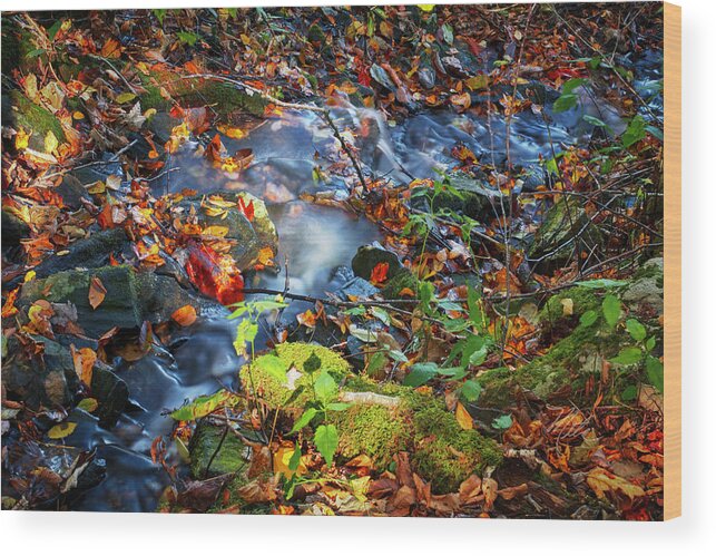 Blue Ridge Parkway Wood Print featuring the photograph Small Mountain Stream Fall by Meta Gatschenberger