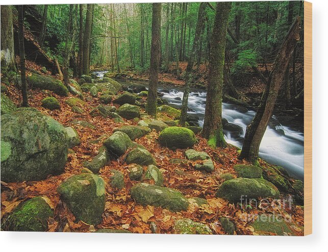 December Wood Print featuring the photograph Smoky Mountains landscape print WA6613 by Mark Graf