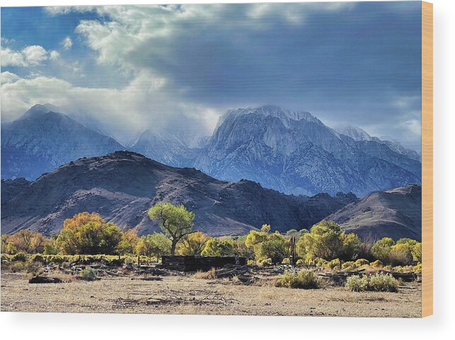 Ca Wood Print featuring the photograph Snow Falling on Sierra by Cheryl Strahl