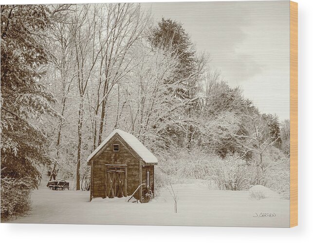 Landscape Wood Print featuring the photograph Snowed In by Jim Carlen