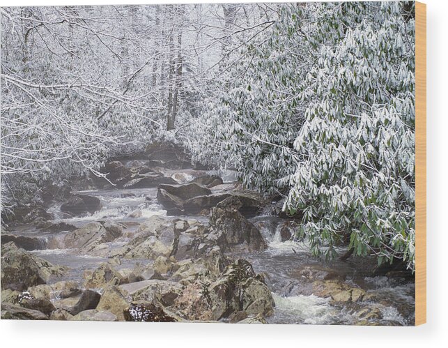 Great Smoky Mountains National Park Wood Print featuring the photograph Snowy Creek by Stacy Abbott