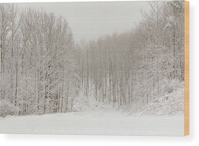 Mcdowell County Wood Print featuring the photograph Snowy Winter Forest by Joni Eskridge