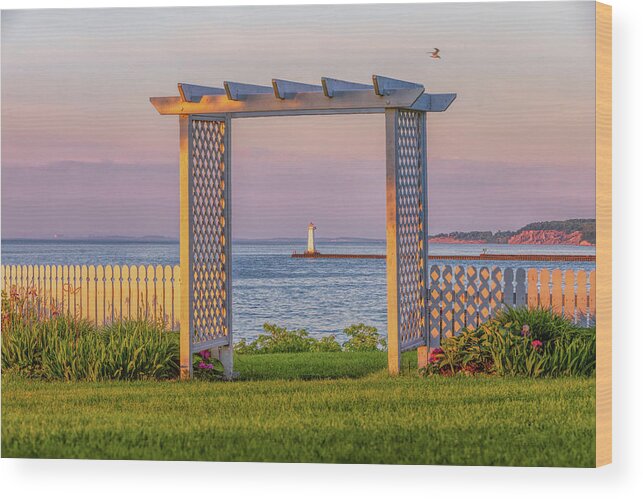 Sodus Point Lighthouse Wood Print featuring the photograph Sodus Point Lighthouse View by Rod Best