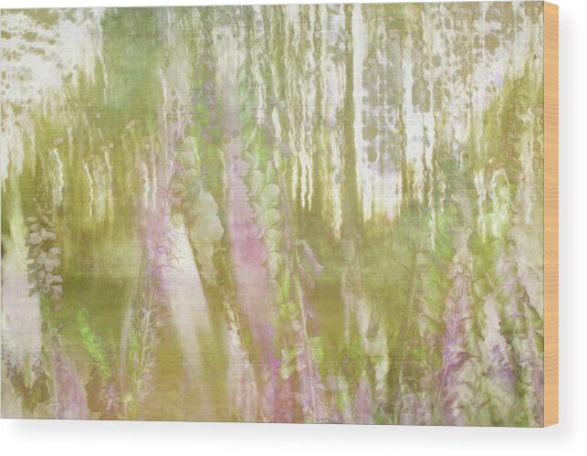 Abstract Wood Print featuring the photograph Soft Flowers by Marilyn Wilson