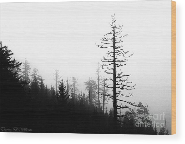 Landscape Wood Print featuring the photograph Solitude in the Smoky Mountains by Theresa D Williams