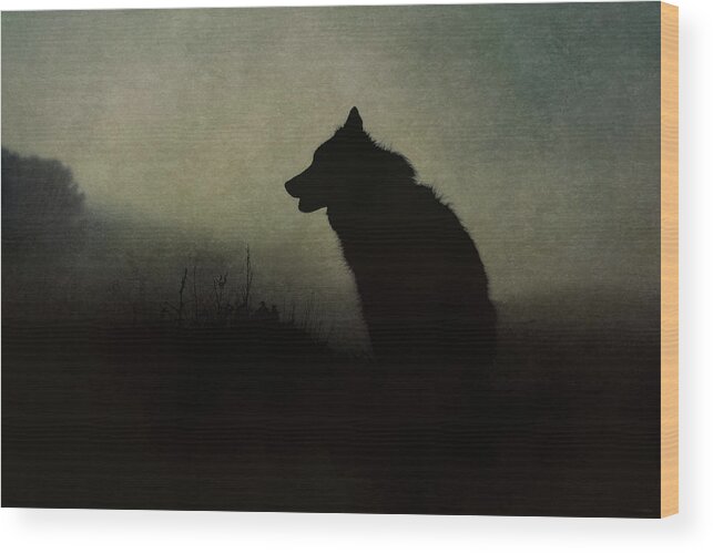 Silhouette Wood Print featuring the digital art Solitude by Nicole Wilde
