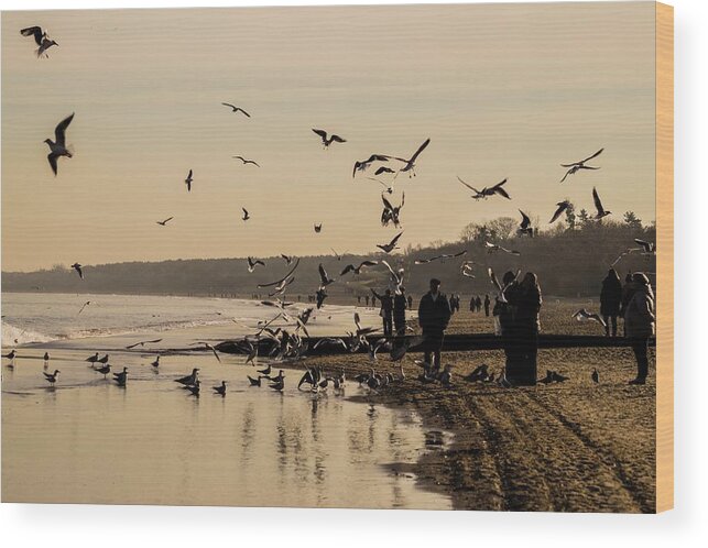 Sopot Wood Print featuring the photograph Sopot Beach by Pablo Saccinto